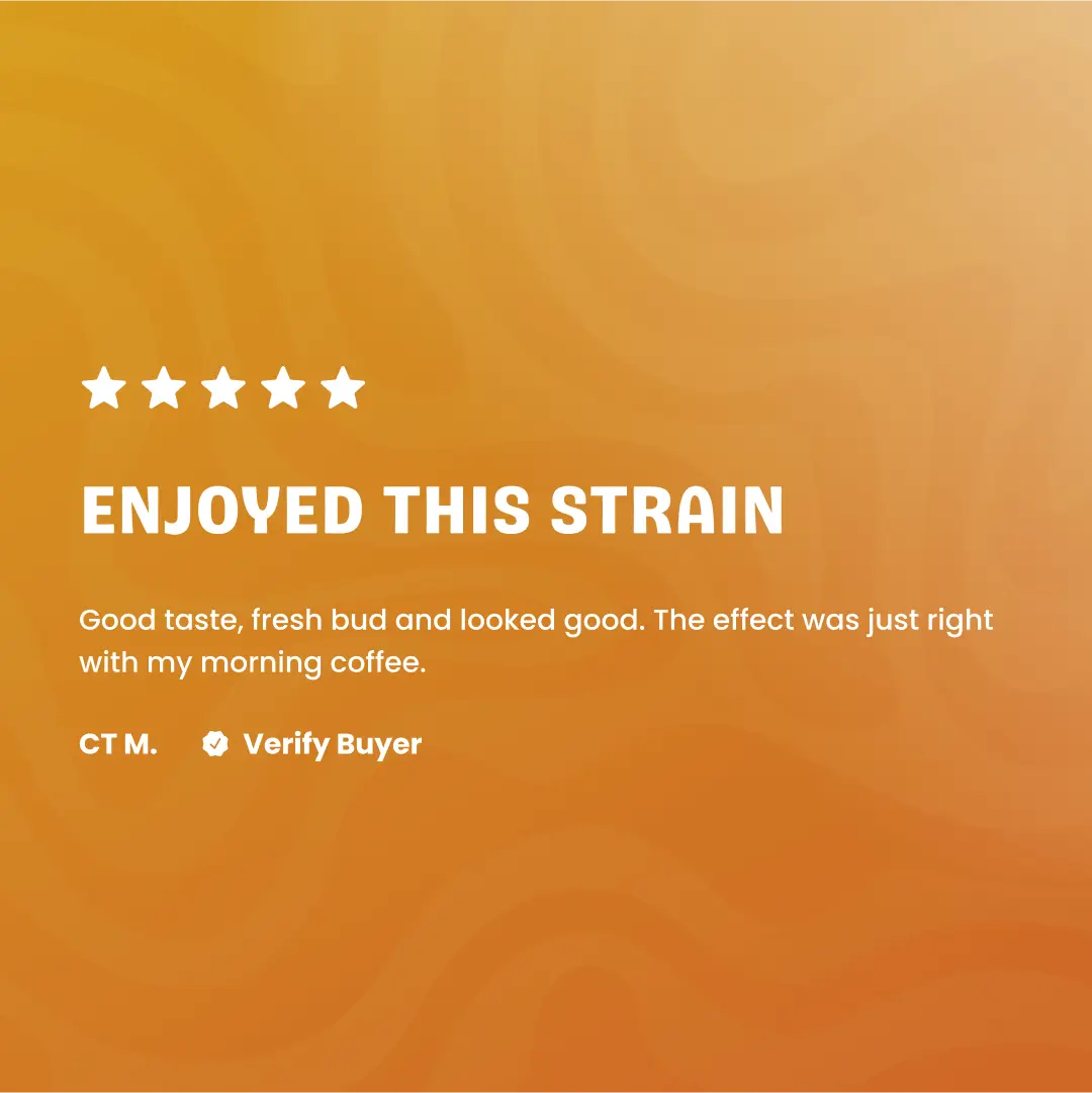 Blue Dream – THCa Flower - Bay Smokes