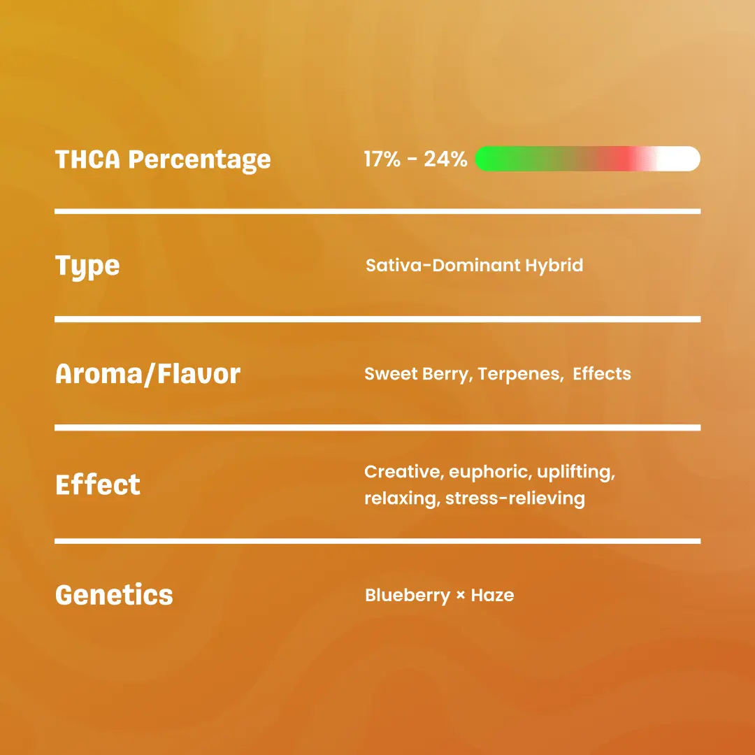 Blue Dream – THCa Flower - Bay Smokes