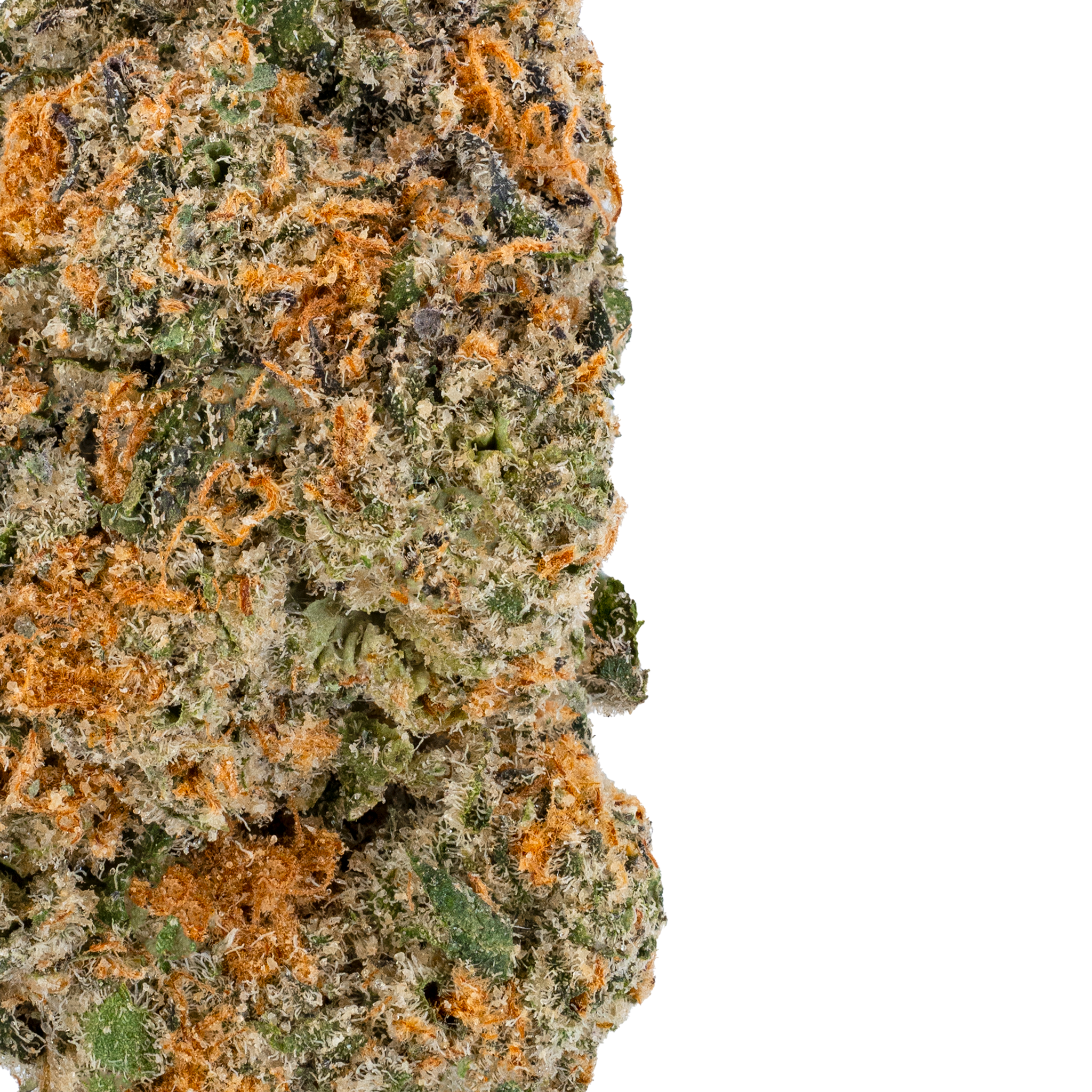 MAC – THCa Flower close up