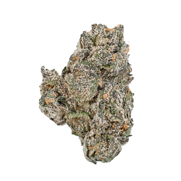 White Truffle – THCa Flower - Bay Smokes