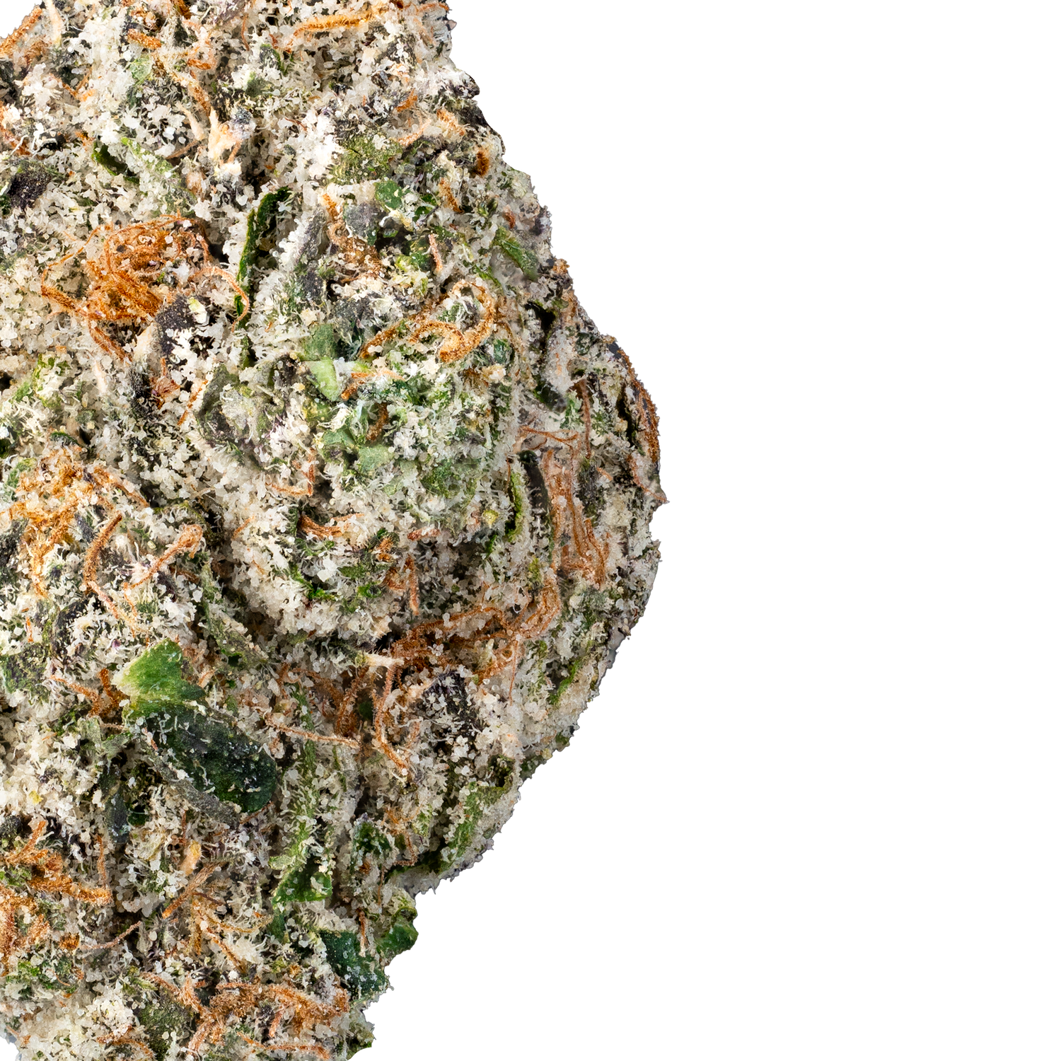 Gelato Cake – THCa Flower close up