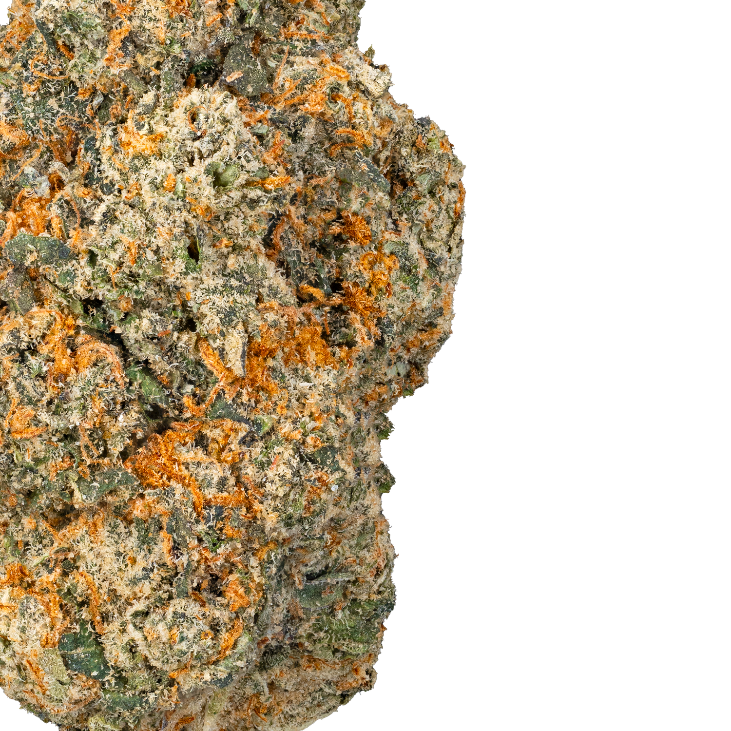 Orange Push Pop- THCa Flower close up