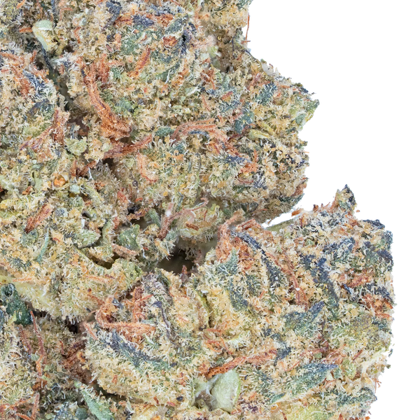Jealousy – THCa Flower Bay Smokes
