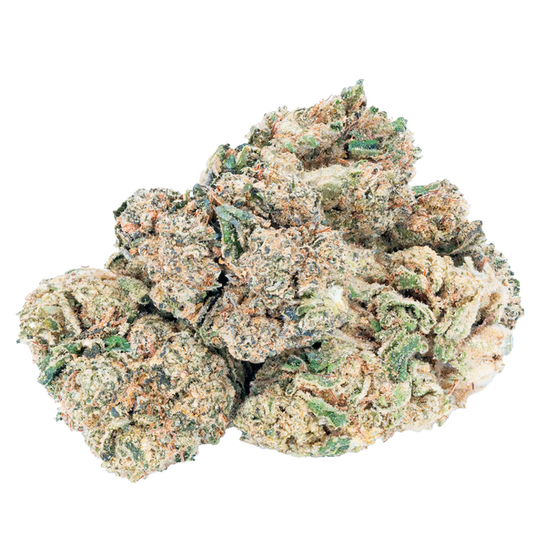 Mr. Nasty - THCa Flower Bay Smokes