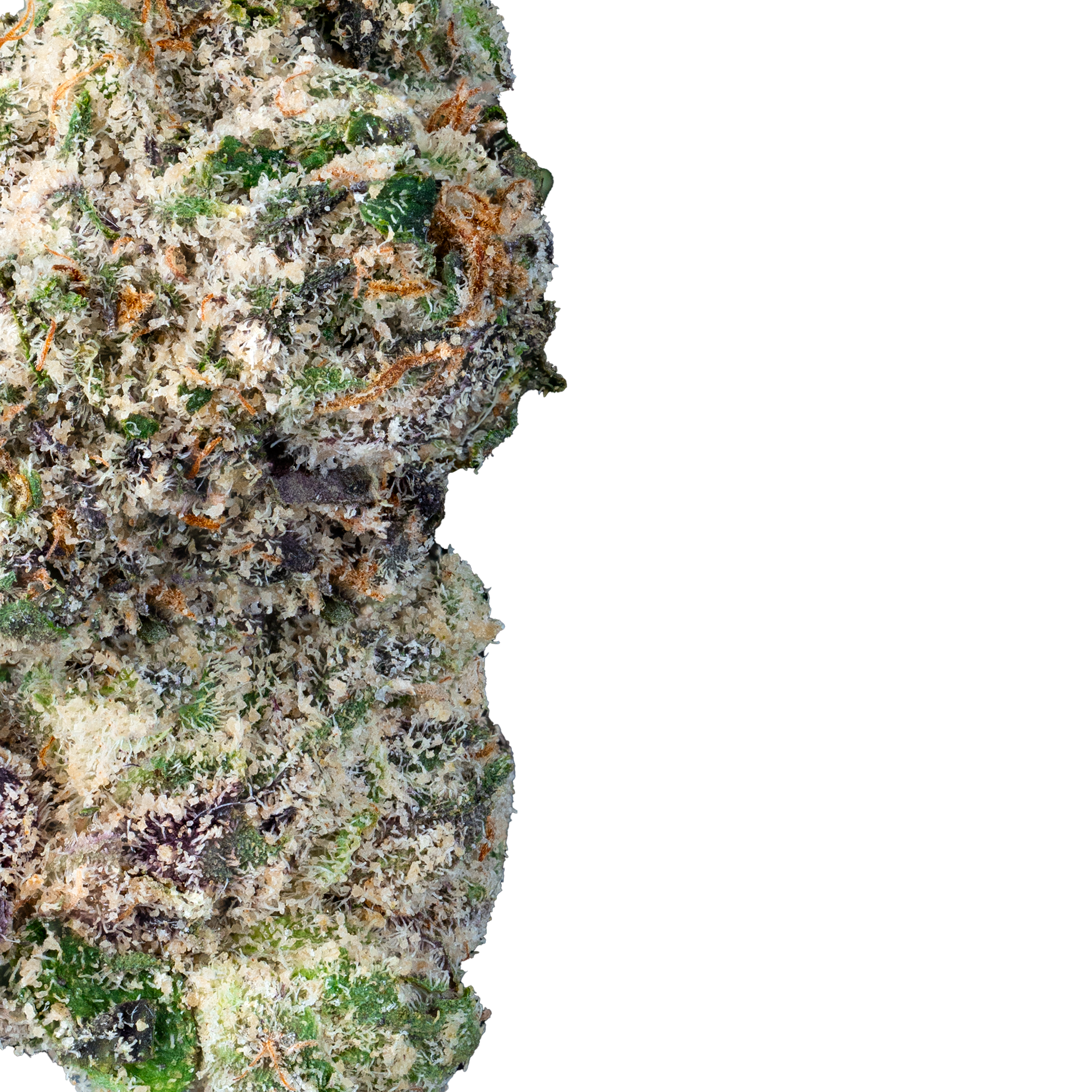 Lemon Runtz – THCa Flower close up