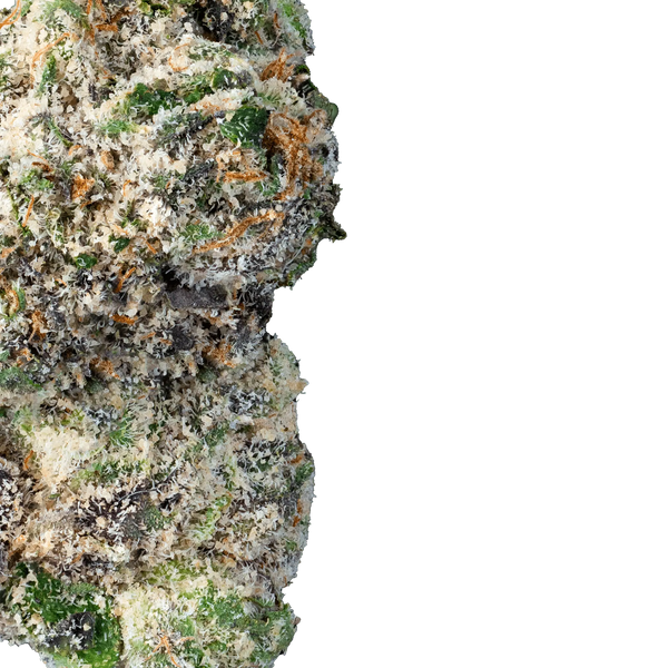 Lemon Runtz – THCa Flower - Bay Smokes