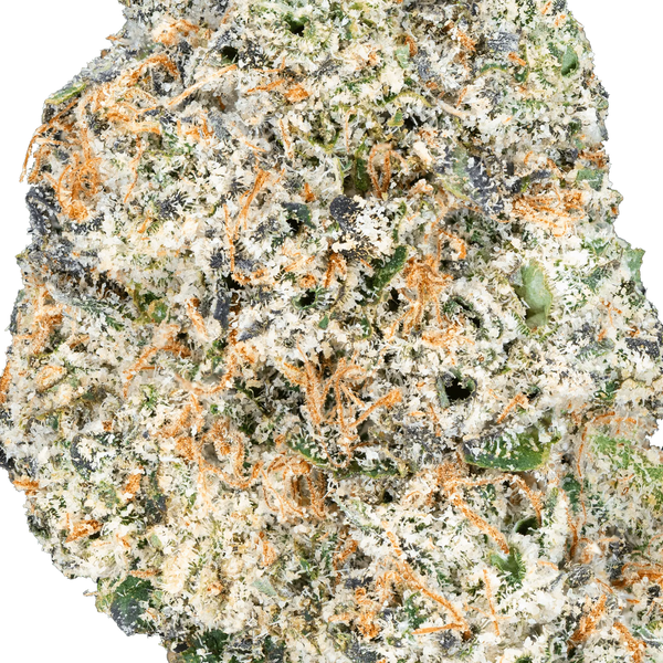 Thai Iced Tea - THCa Flower - Bay Smokes