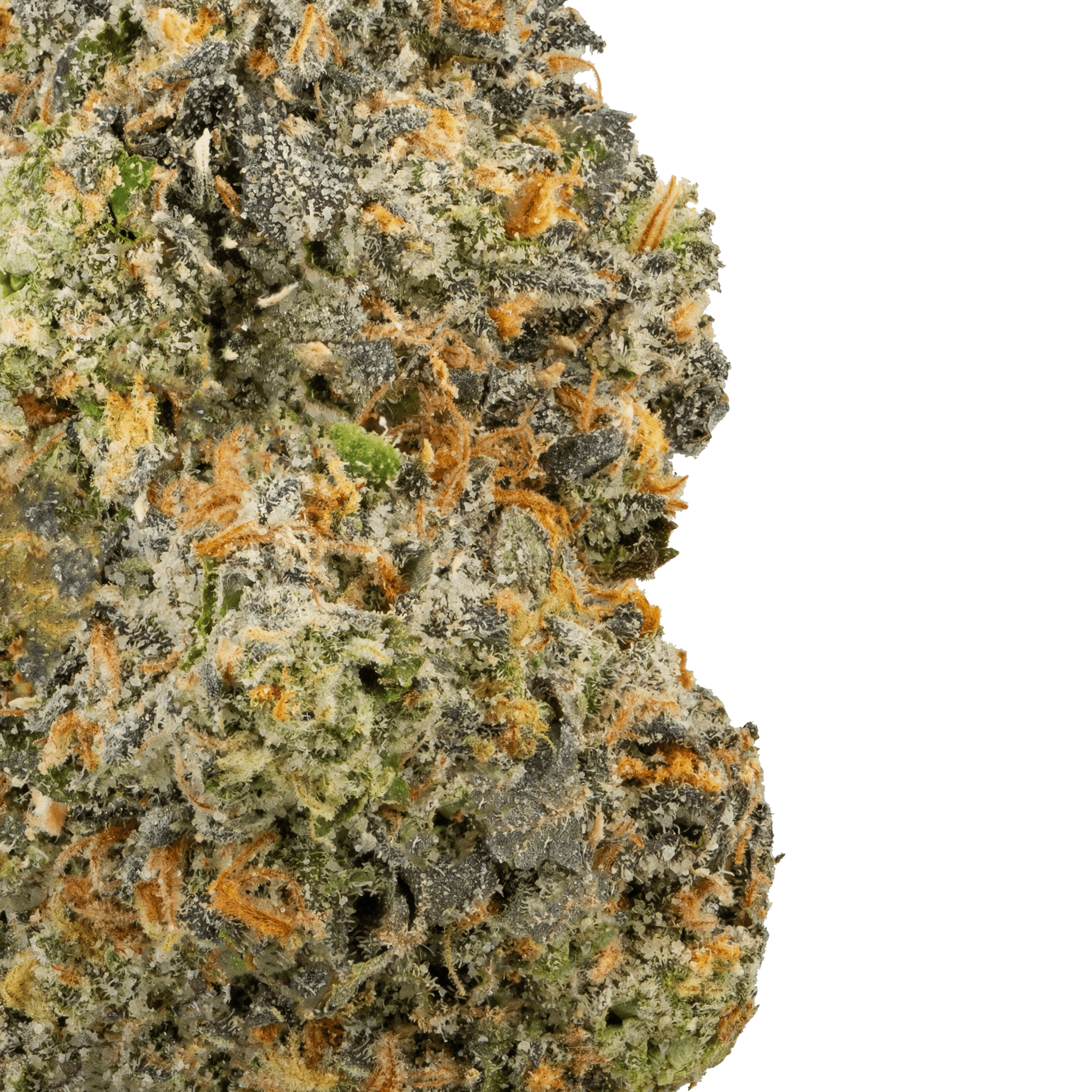 bay smokkes Pineapple THCa Flower close up