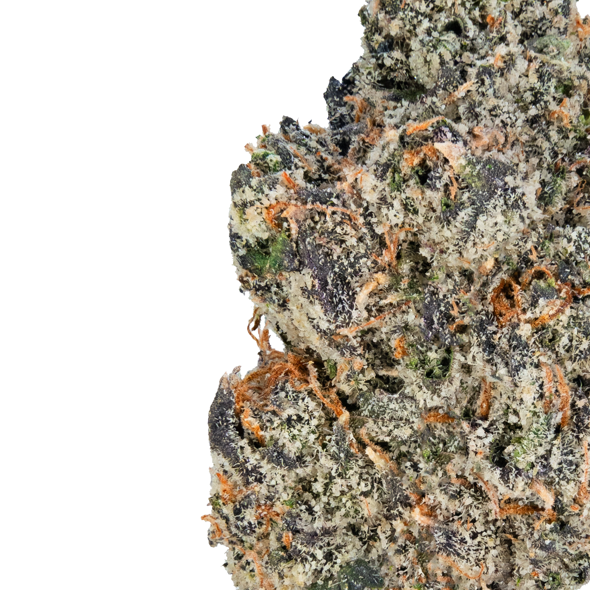 Gelato – THCa Flower close up