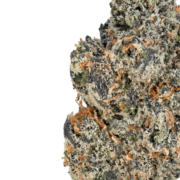 Gelato – THCa Flower - Bay Smokes