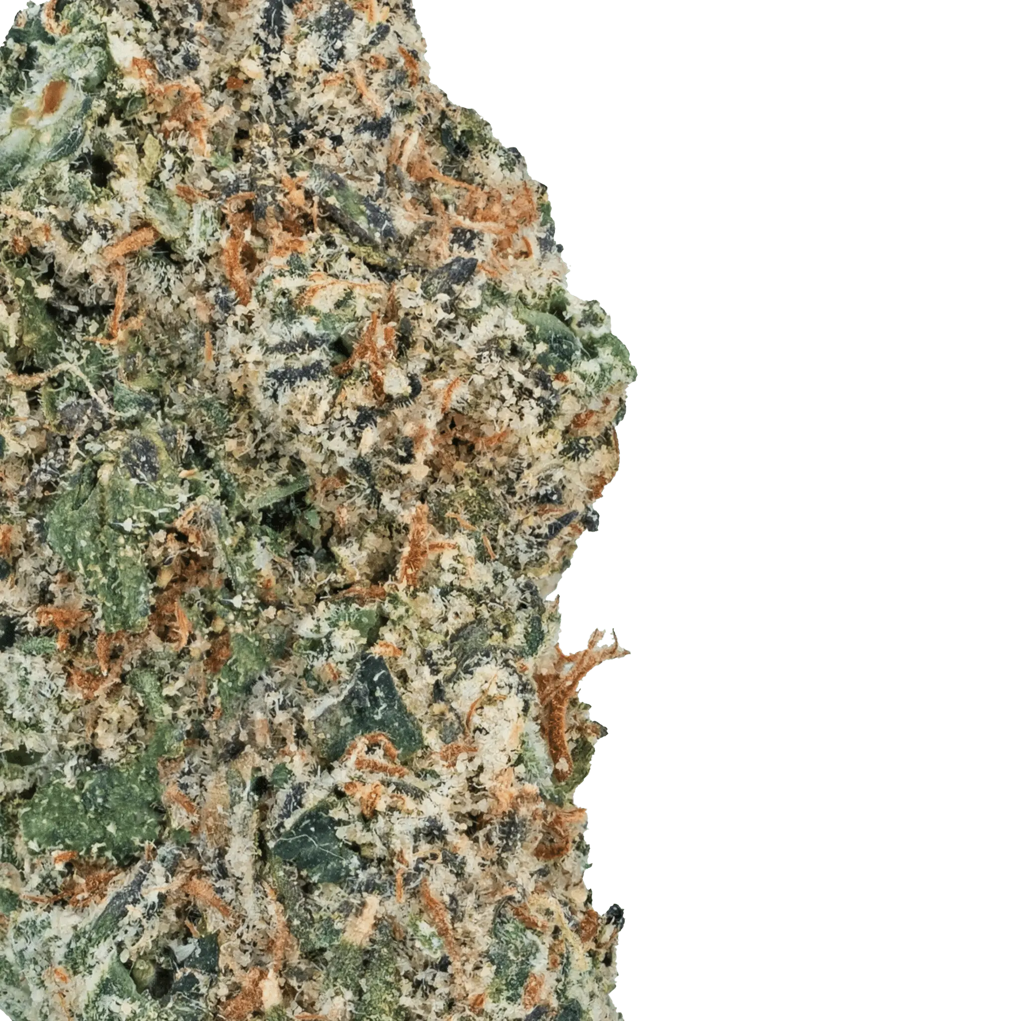 LOWEZ - Runtz OG - Bay Smokes