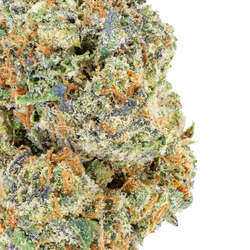 Ice Cream Cookies THCa Flower