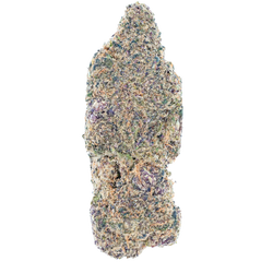 Flor de interior