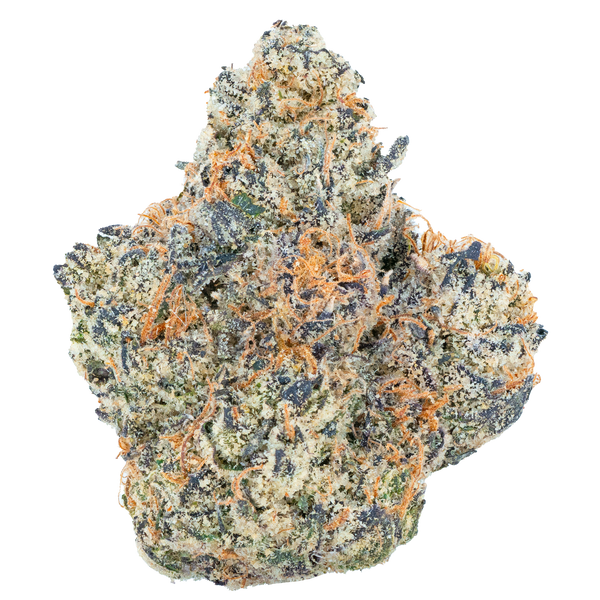 Té helado tailandés - Flor de THCa