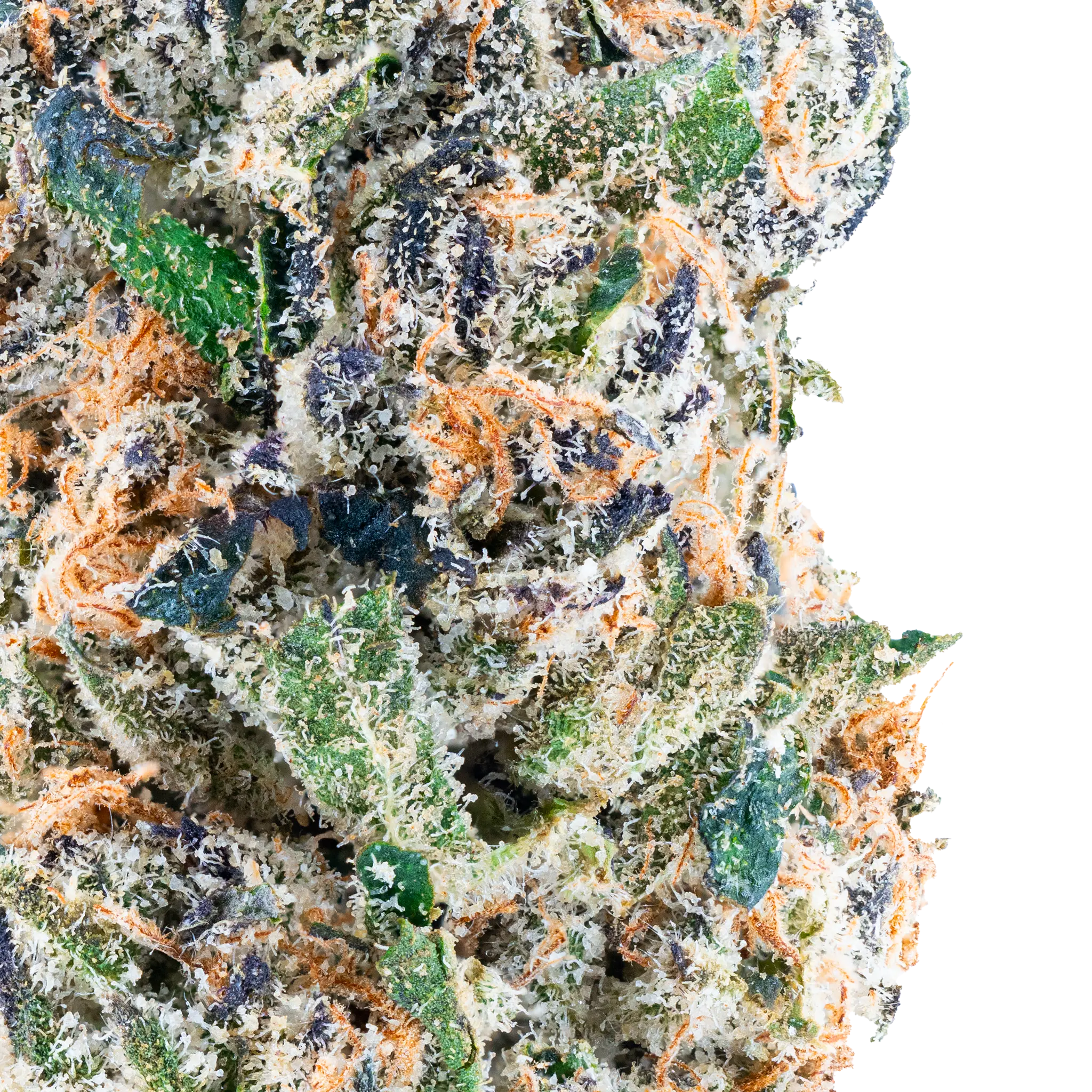 Tres Leches THCa Flower Bay Smokes