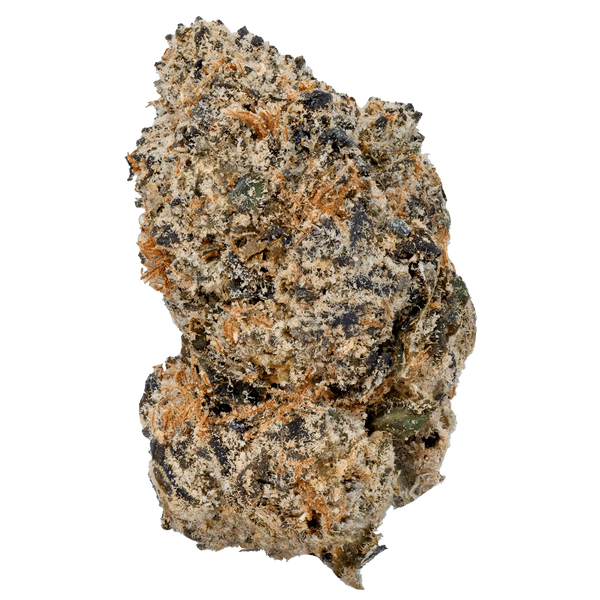 LOWEZ - Cherry Zashimi - Bay Smokes