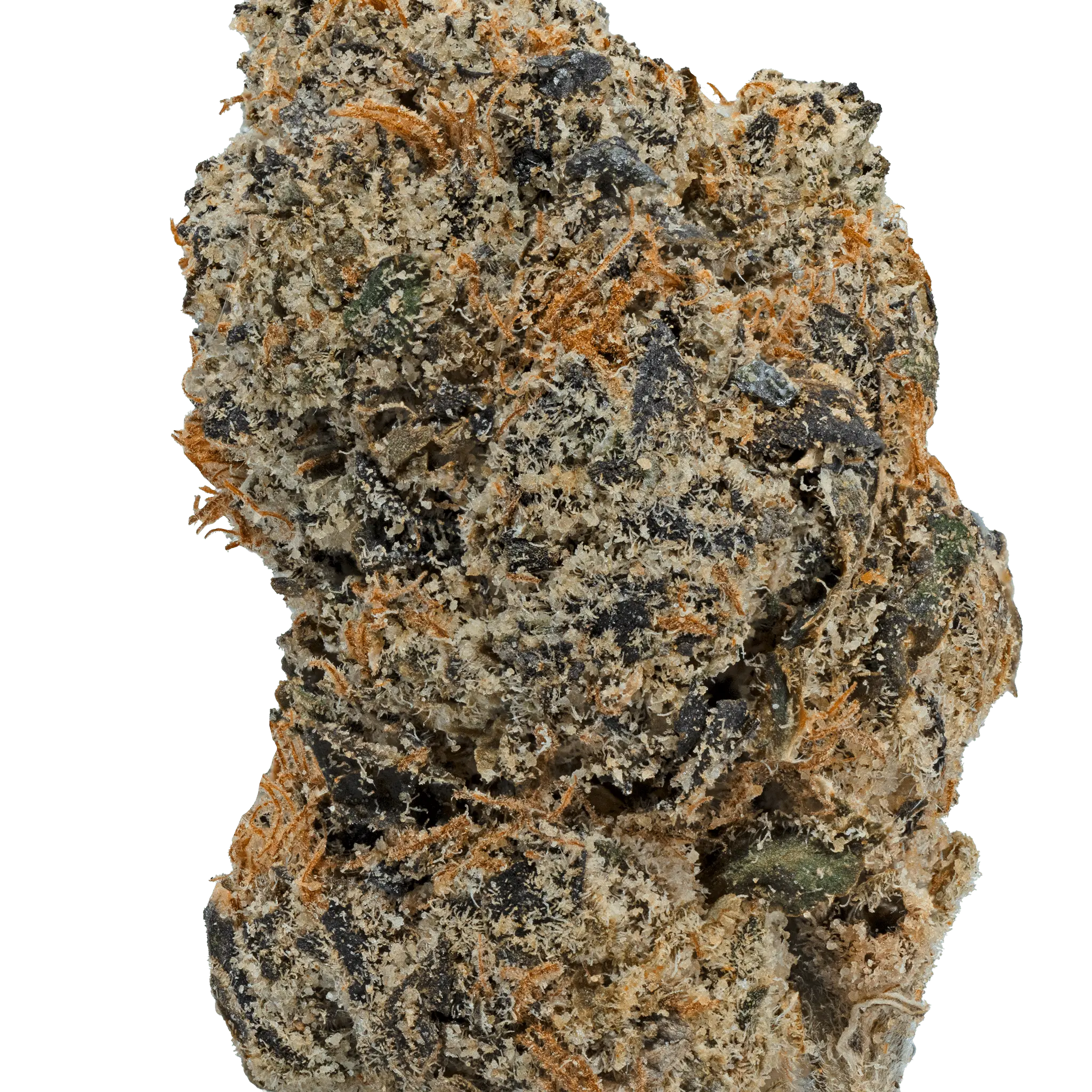 LOWEZ - Cherry Zashimi - Bay Smokes