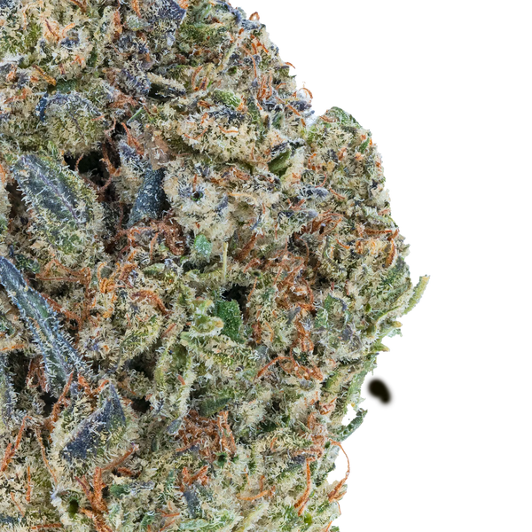 Vorpal Cherry Aurora THCa Flower Bay Smokes