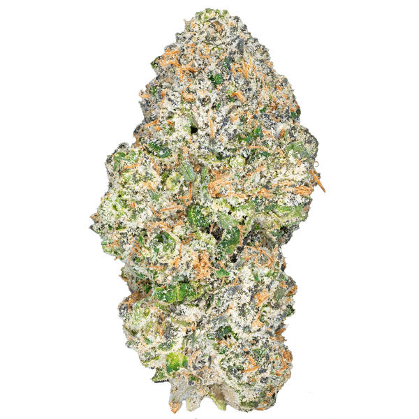 Apple Fritter – THCa Flower - Bay Smokes