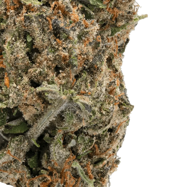 Ice Cream Cookies - THCa Flower - Bay Smokes