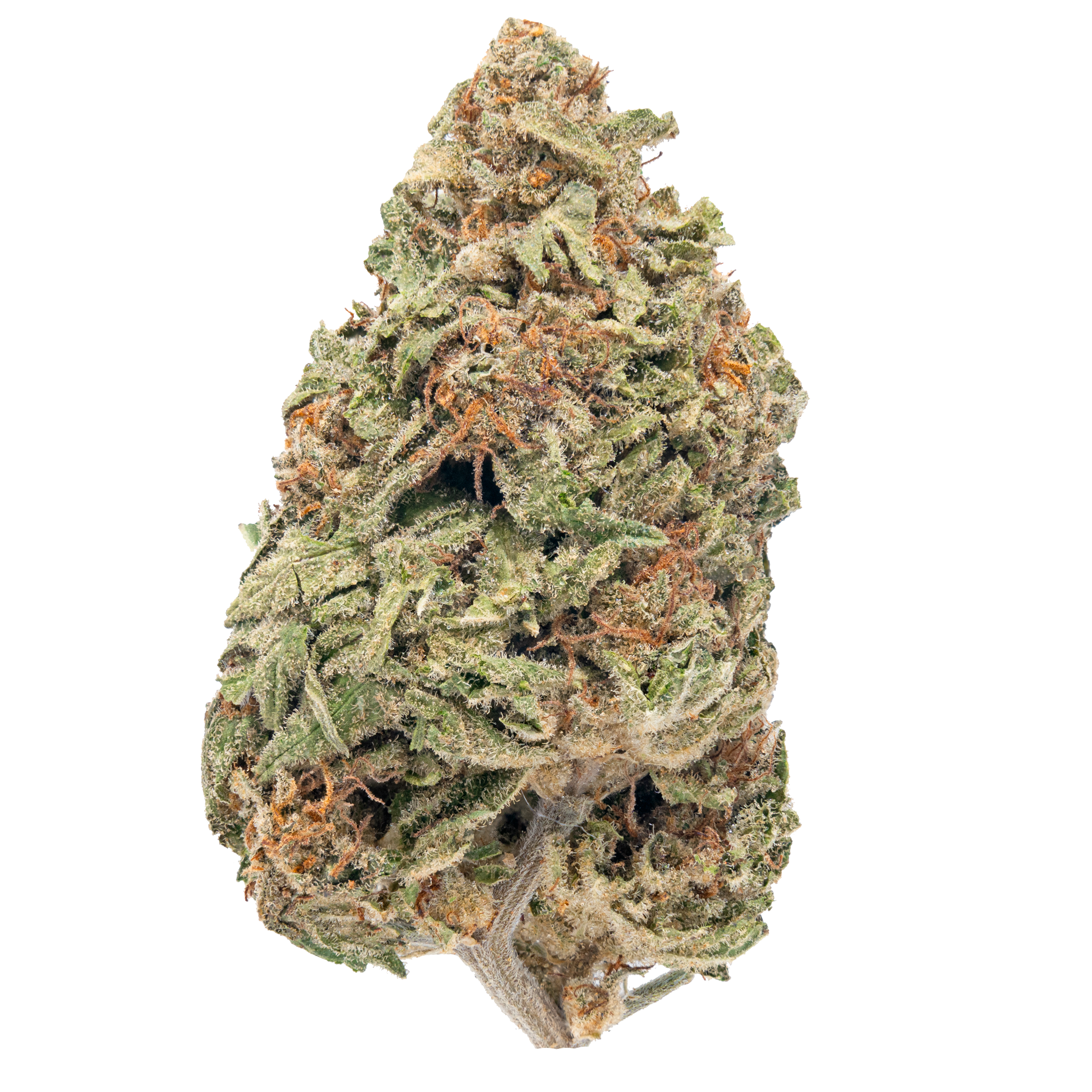 Blue Dream – THCa Flower