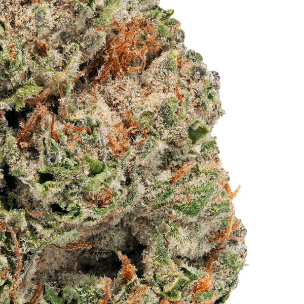 Gorilla Glue – THCa Flower - Bay Smokes