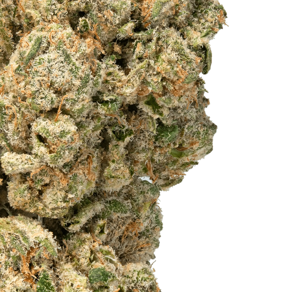 White Cherry Gelato Strain - Bay Smokes