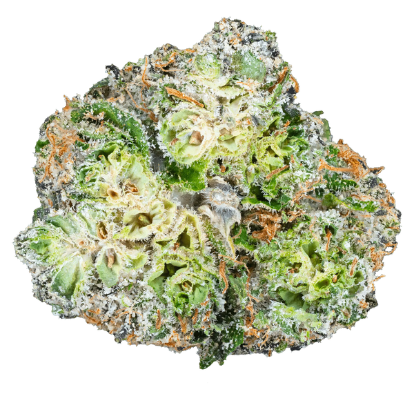 Apple Fritter – THCa Flower - Bay Smokes