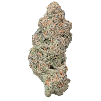 Flor de THCa Glitter Bomb