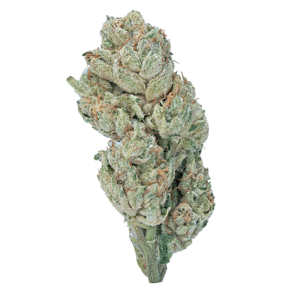 LOWEZ - Wedding Crasher - Bay Smokes