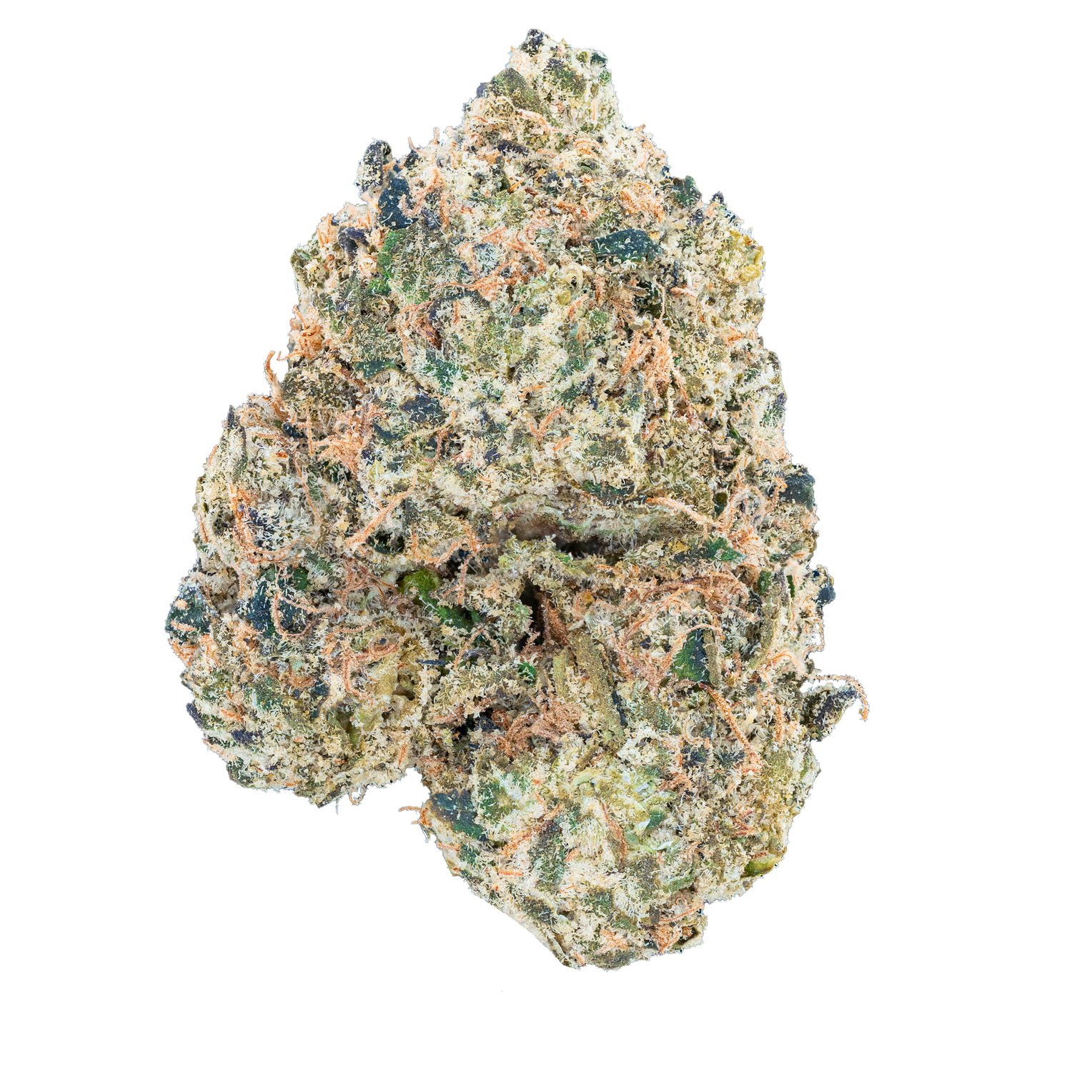 Lil Baby - ¡WHAM! Oferta