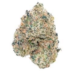 Lil Baby - ¡WHAM! Oferta