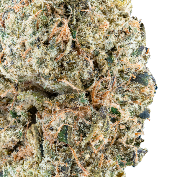 Lil Baby - ¡WHAM! Oferta