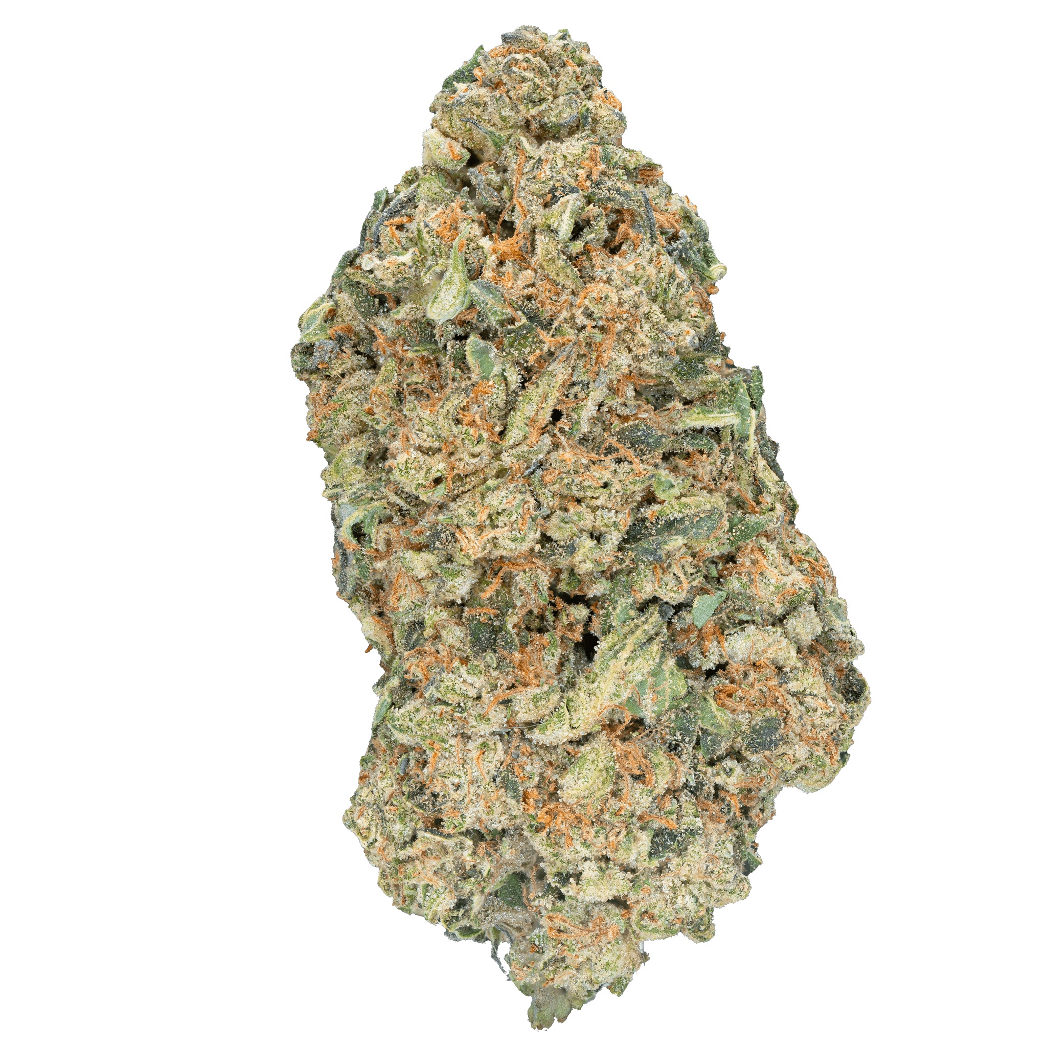 Black Leprechaun - Tory Lanez Finest Hemp Cannabis Collection – Bay Smokes