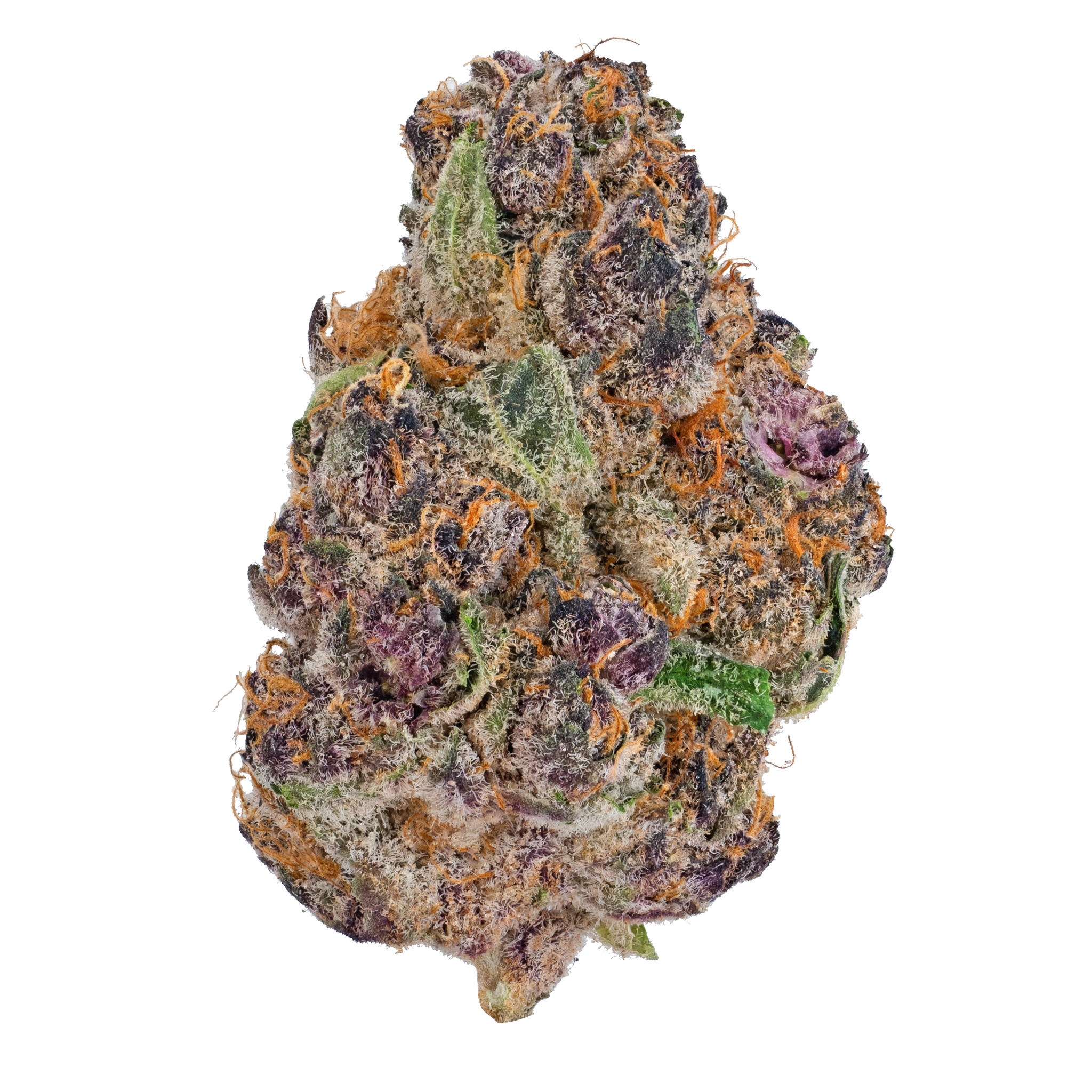 Blue Cherry Gelato– THCa Flower 