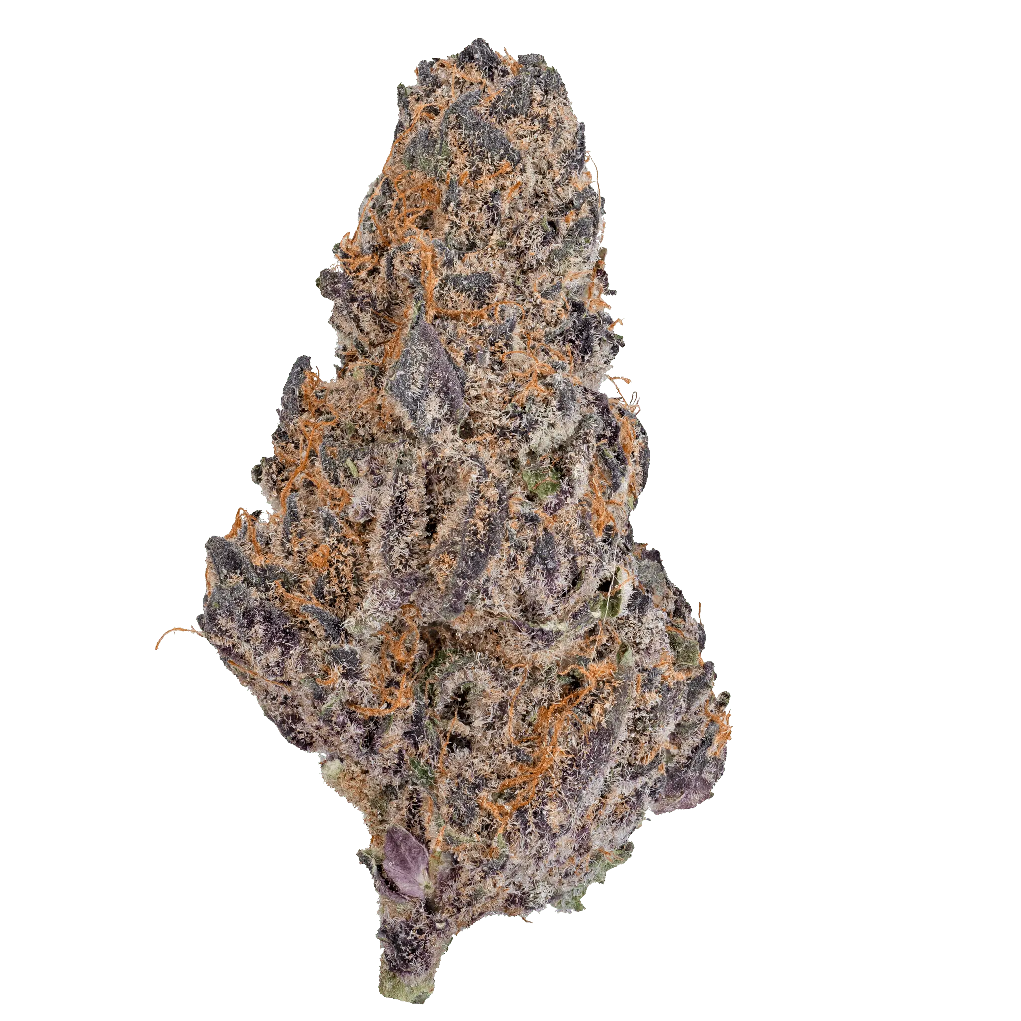 LOWEZ - Blue Cherry Gelato - Bay Smokes
