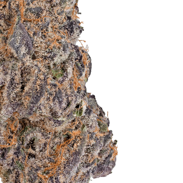 LOWEZ - Blue Cherry Gelato - Bay Smokes