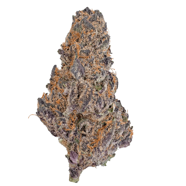 LOWEZ - Blue Cherry Gelato - Bay Smokes