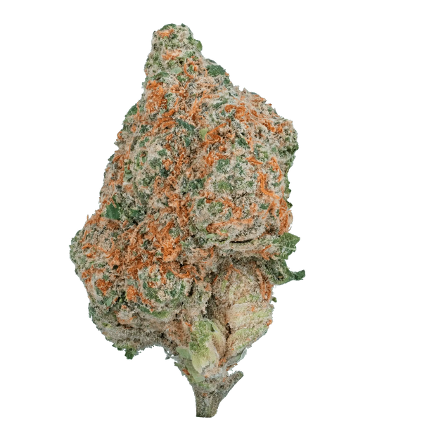 Only Gas - THCa Flower - Bay Smokes