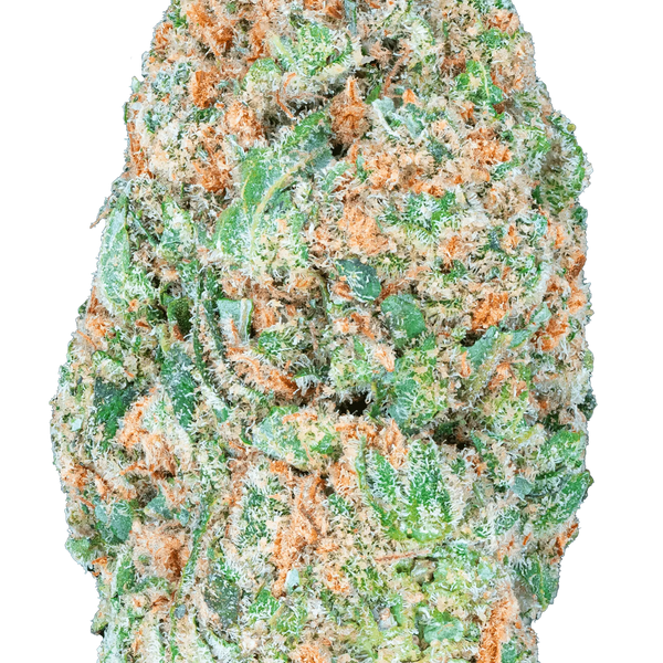 Vorpal Cherry Aurora - THCa Flower - Bay Smokes