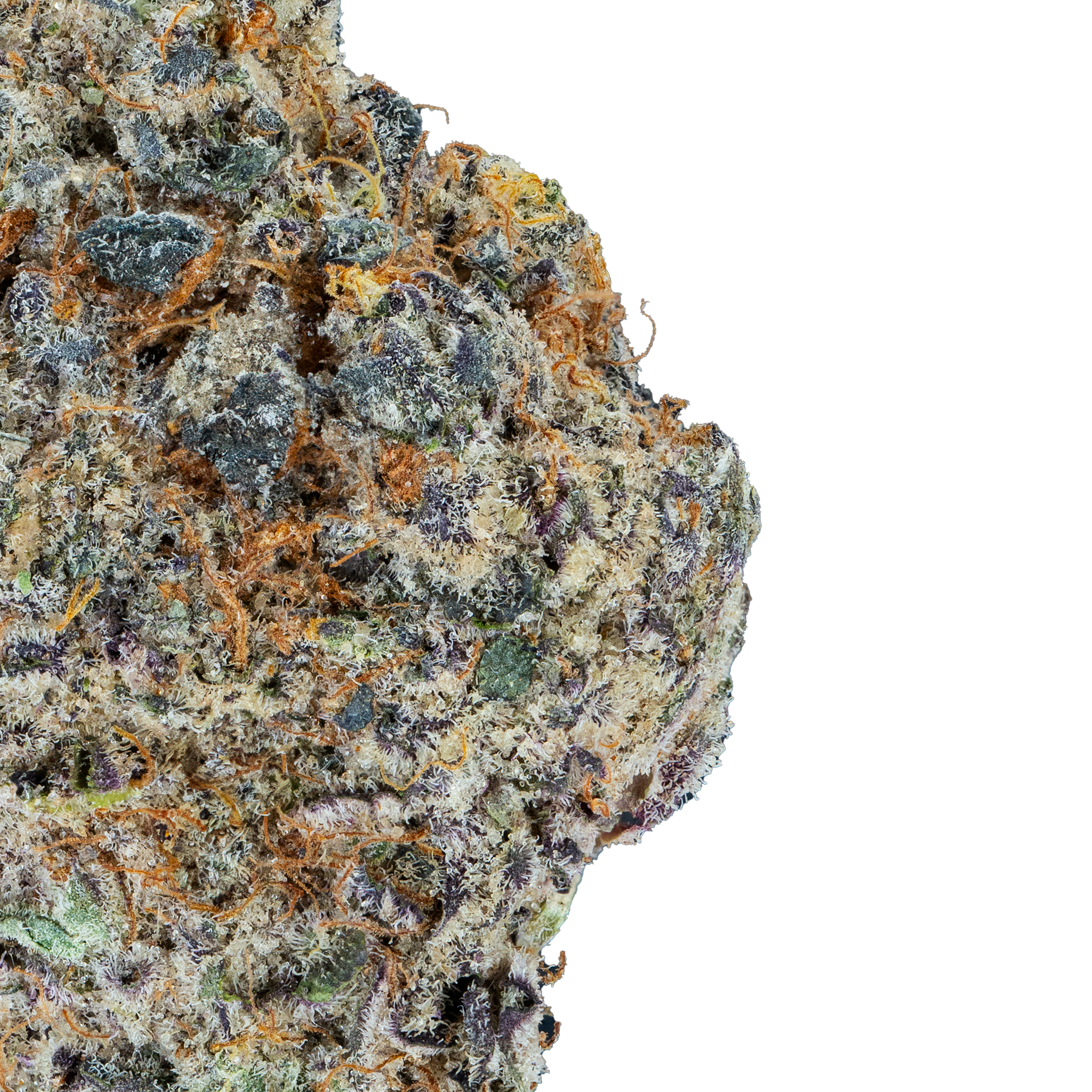 London Pound Cake – THCa Flower close up