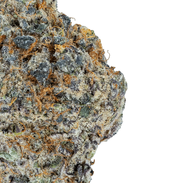 London Pound Cake – THCa Flower - Bay Smokes