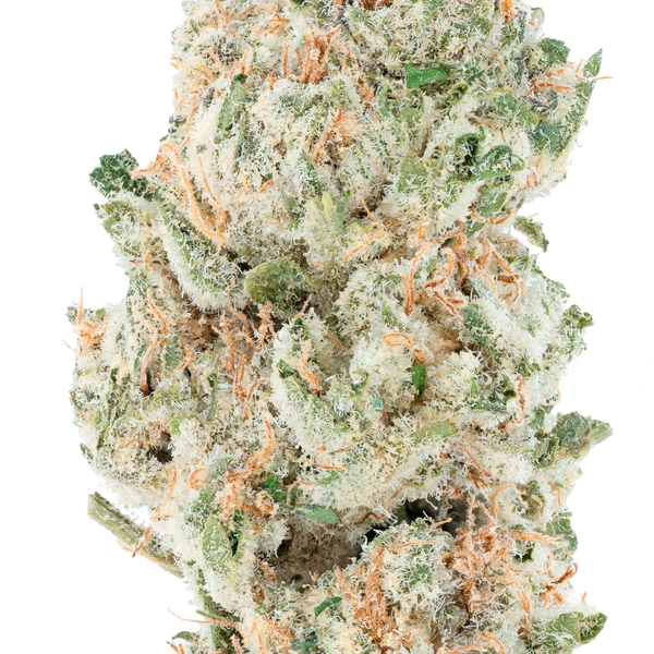 Blue Dream THCa Flower Bay Smokes