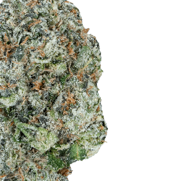 Super Zoldier Serum– THCa Flower - Bay Smokes