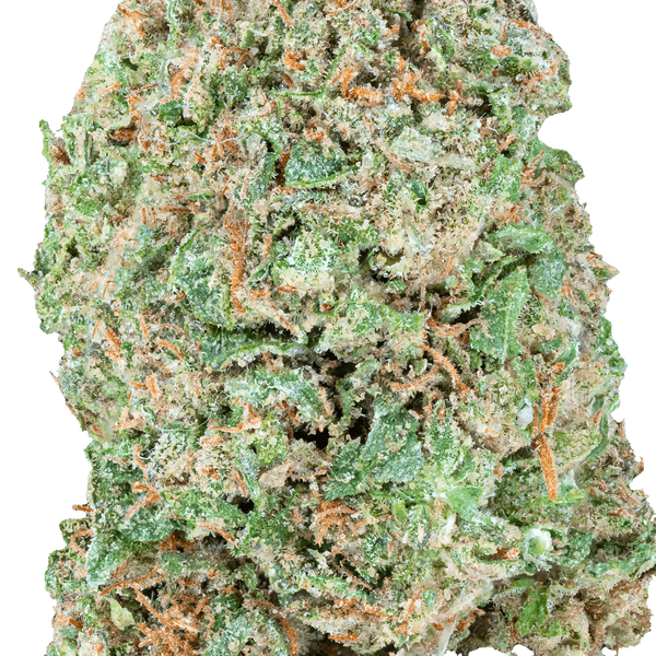 Mr. Nasty - THCa Flower - Bay Smokes