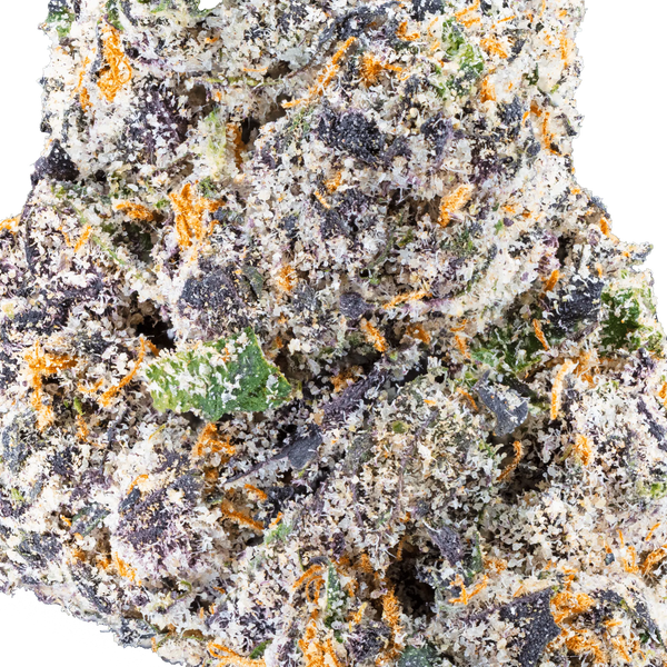 White Truffle – THCa Flower - Bay Smokes