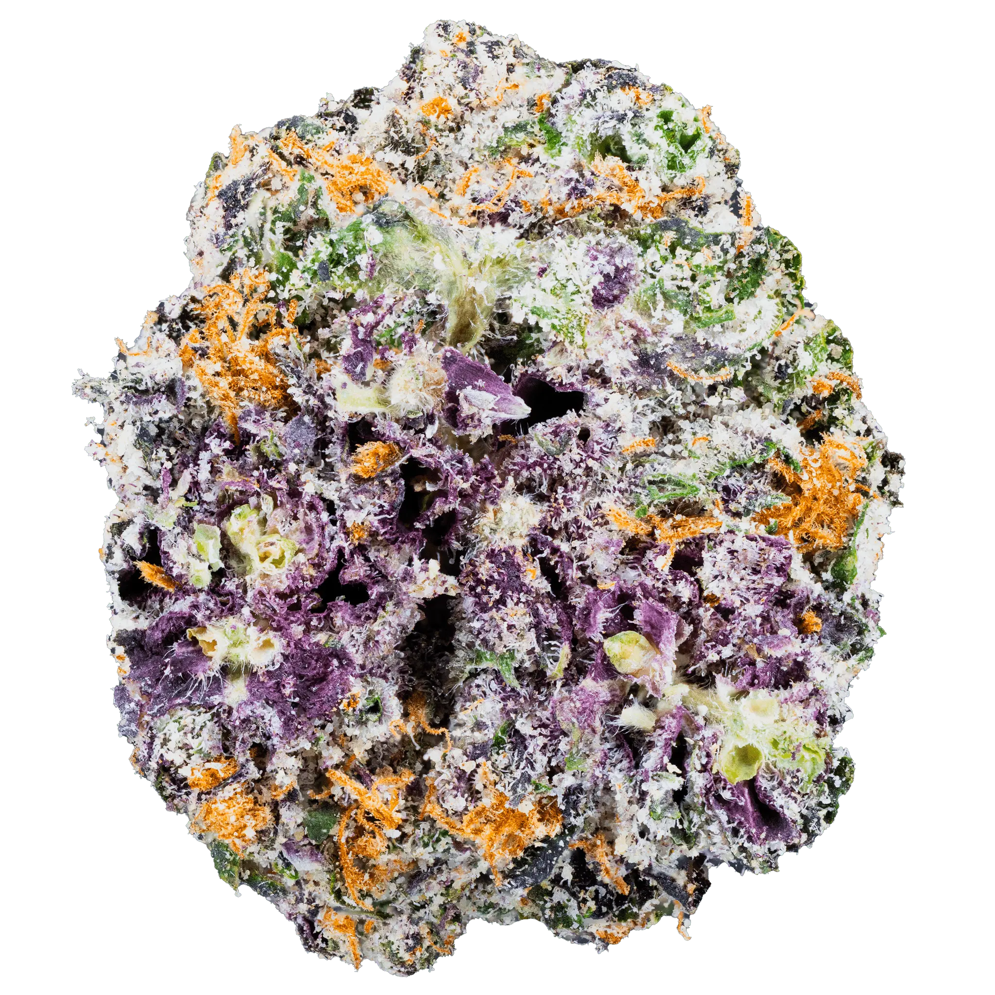 White Truffle – THCa Flower - Bay Smokes