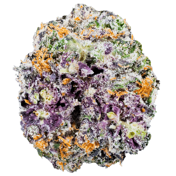 White Truffle – THCa Flower - Bay Smokes