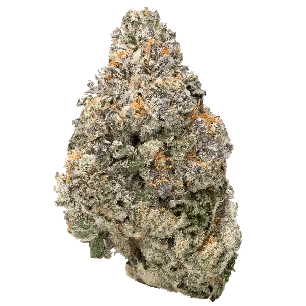 LOWEZ - Jealousy - Bay Smokes