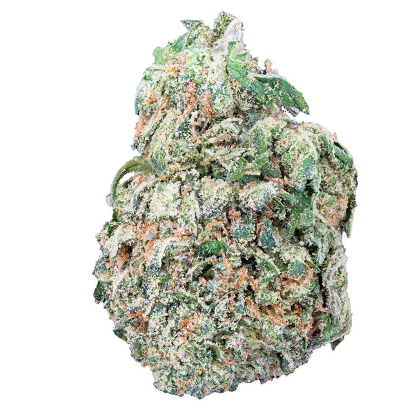 Mango Dream - THCa Flower - Bay Smokes